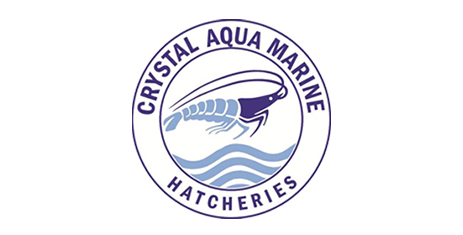 Creative Branding and Logo Design Agency in Hyderabad - Aaruhi Software Solutions